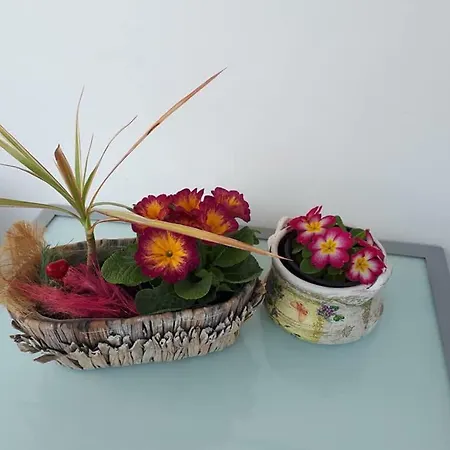 Art * ヴェリコ・タルノヴォ