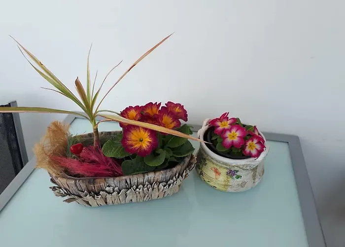 Art * 大特尔诺沃